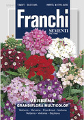 Verbena GRANDIFLORA MIX FRANCHI 