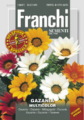 Gazánia MULTICOLOR FRANCHI 