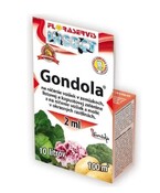 GONDOLA 2ml 