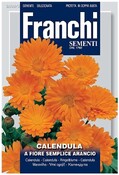 Nechtík A FIORE SEMPLICE ARANCIO FRANCHI 