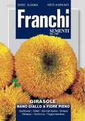 Slnečnica NANO GIALLO A FIORE PIENO FRANCHI 